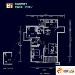 深物业廊桥国际户型图B1户型 2室2厅2卫1厨