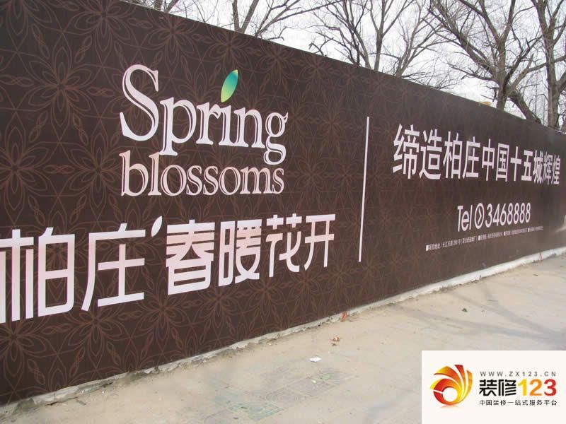 柏庄春暖花开实景图外墙广告（2011-03-16）