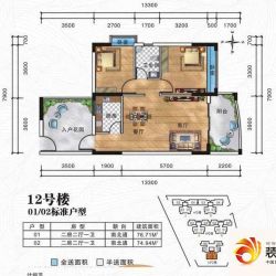 南国明珠花园12#01/02户型图 ...