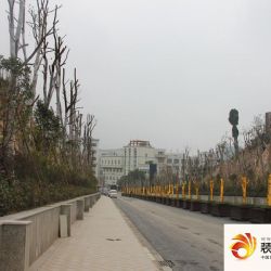 西南工业总部基地实景图入口（2012 ...