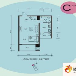 大唐果户型图C户型  