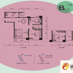 大唐果户型图B1,2户型 