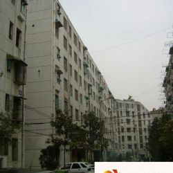 亳州城实景图