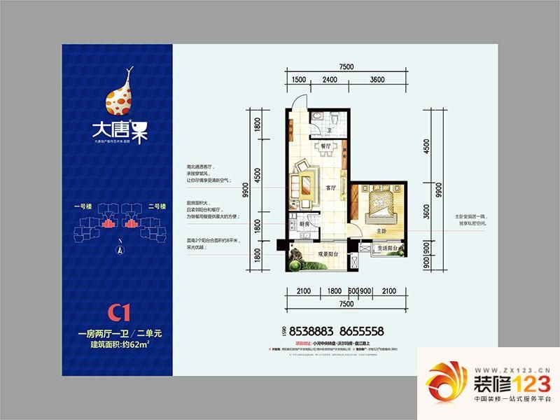 大唐果户型图户型C1 1室2厅1卫1 ...