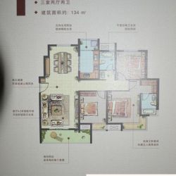 中建X海尚溪地户型图