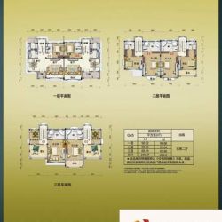 碧桂园假日半岛户型图