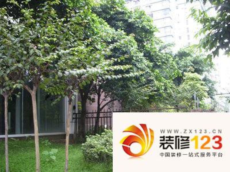 金府花园外景图