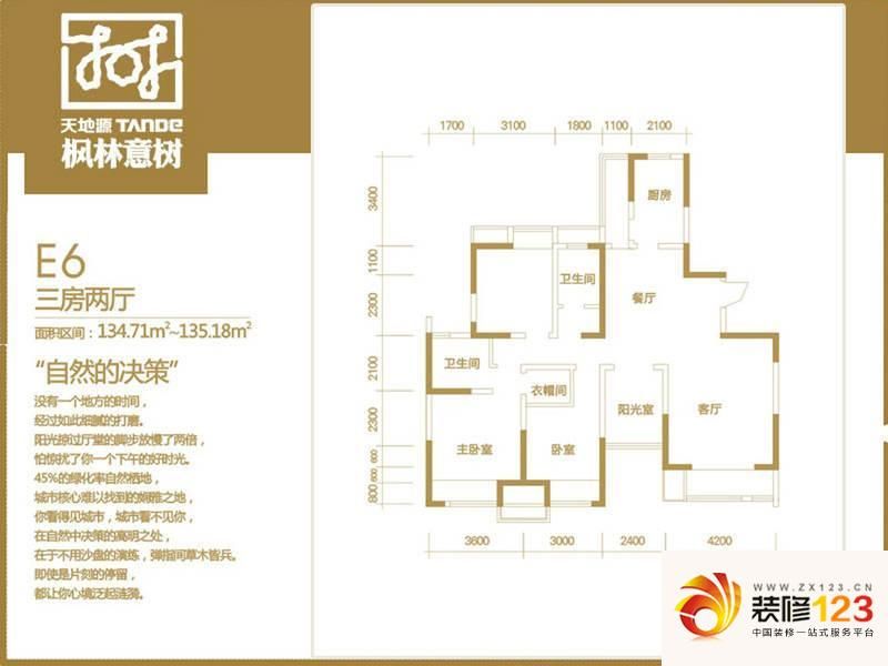 枫林意树e6户型户型图