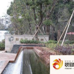 新长江香樟林实景图