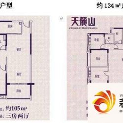 碧桂园天麓山:户型图