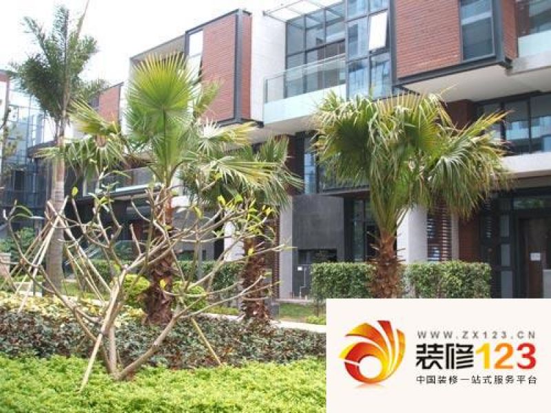 深圳卓越维港卓越维港外景图 图片大全-我的小区-深圳装信通网