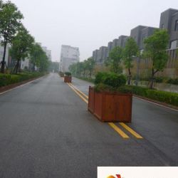 府上心斋桥实景图小区道路（201209 ...