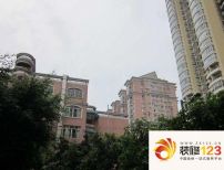 晓港湾