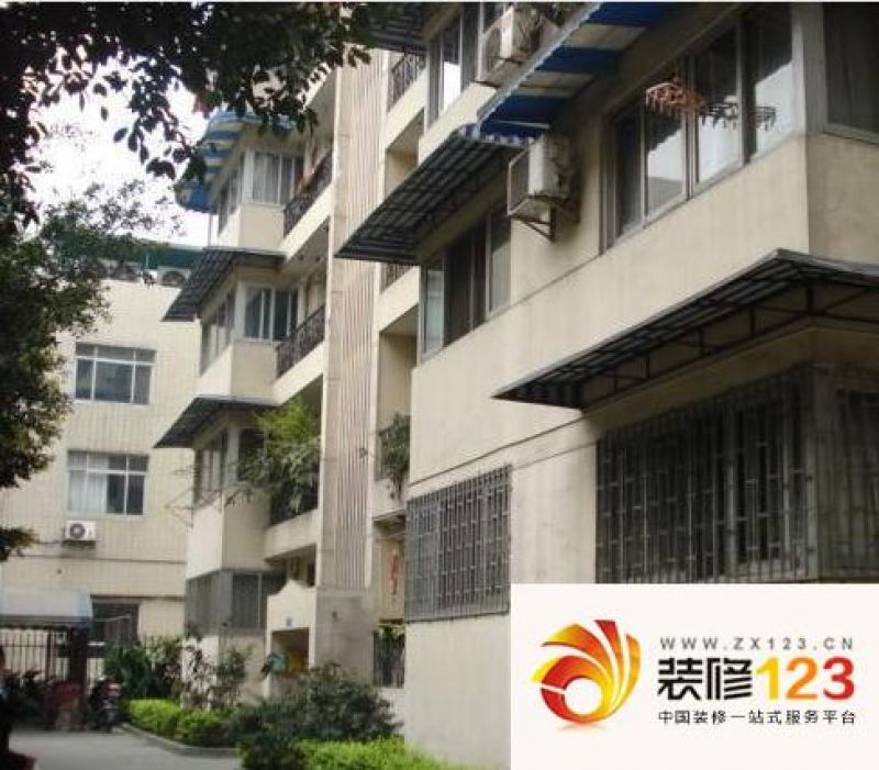金叶苑图片