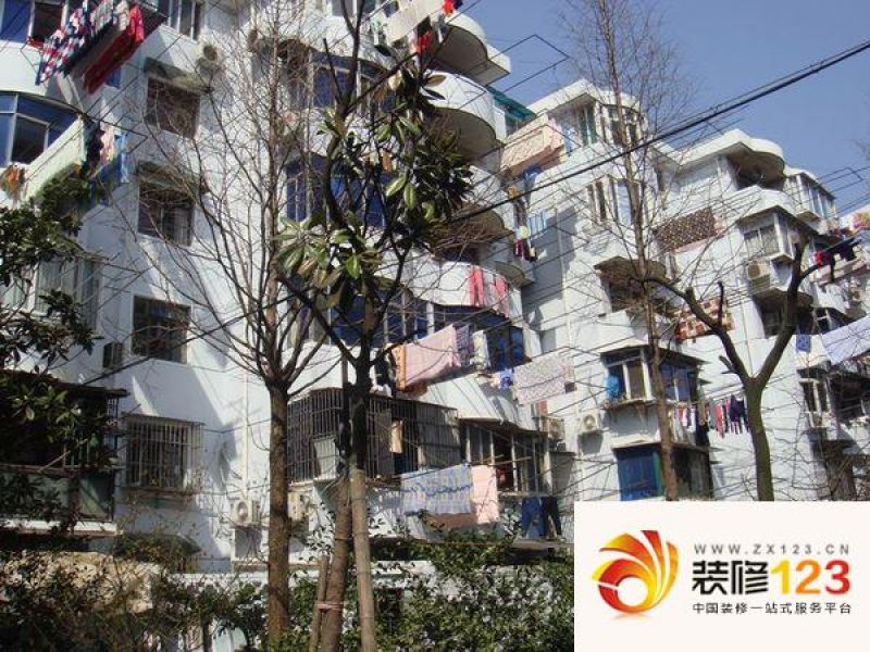 呼玛五村