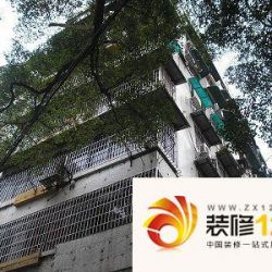 人民北路小区实景图