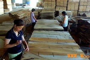 应城木材精深加工年可循环利用废料4000立方米 创产值2100万元