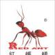 江苏红蚂蚁装饰