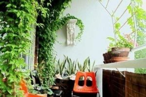 小户型室内花园设计怎么装修