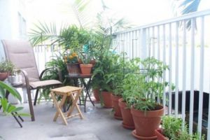 家居装修中如何把小户型阳台改造成小花园