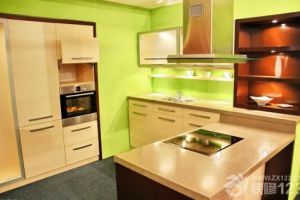 小厨房设计 合理利用厨房空间的六条原则
