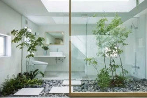 适合卫生间装修设计的环保绿色植物