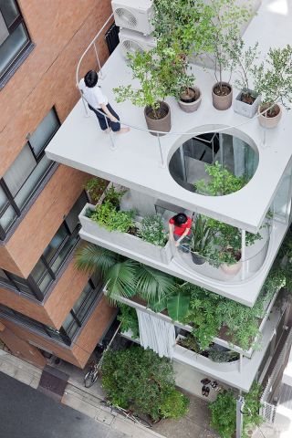通透垂直创意屋顶花园住宅装修效果图