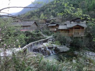 沉稳古朴森林木屋实景图