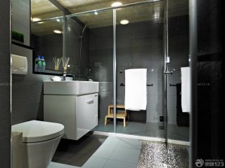 简约时尚小户型浴室不锈钢玻璃隔断设计实景图