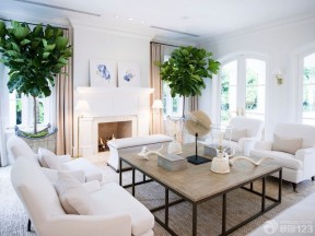 白色美式沙发 家庭客厅 