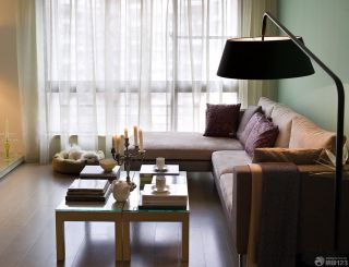 60平米一室一厅房屋客厅组合沙发设计图 