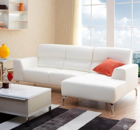 小户型组合家具 组合沙发 
