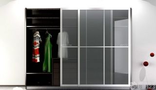 现代风格衣柜玻璃门图片