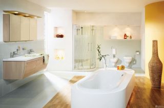 家庭浴室浴巾架设计图片