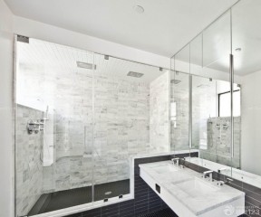 浴室玻璃门 现代风格