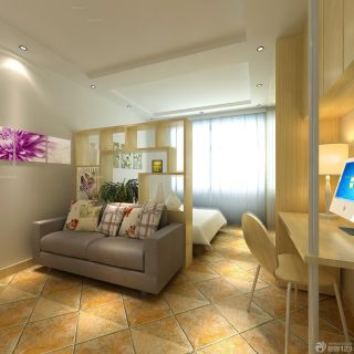 50平方小户型客厅卧室一体单身公寓设计图