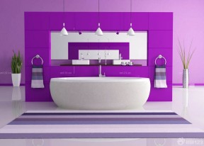 个性简约家庭浴室室内紫色墙面设计图