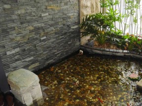 中式入户花园  现代风格