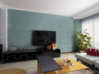 简装两室一厅硅藻泥电视背景墙设计样板