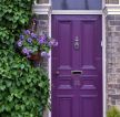 门口紫色门装修效果图片