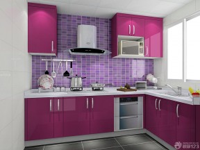 紫色门 5平米厨房