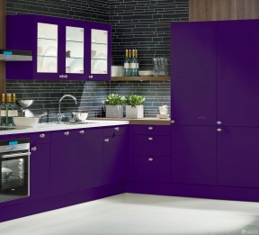 紫色门 开放式厨房