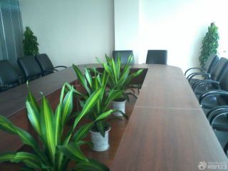 公司会议室办公桌植物设计图欣赏