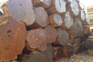 木材防腐处理工艺
