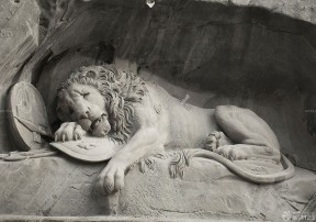 睡觉石狮子图片欣赏