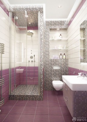 小户型卫生间装饰 紫色地砖装修效果图片
