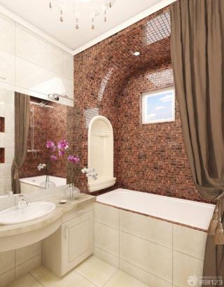 经典小户型厕所棕色墙面装修样板大全
