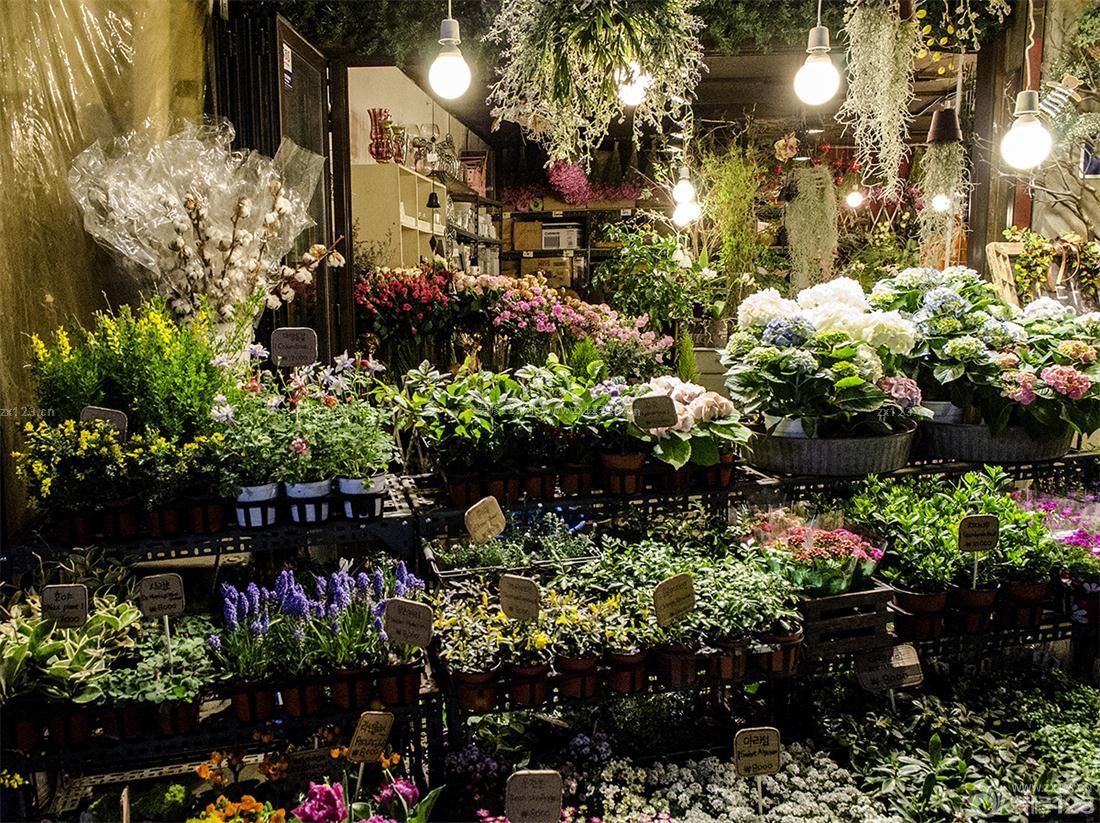 花店鲜花图片(花店鲜花图片高清)