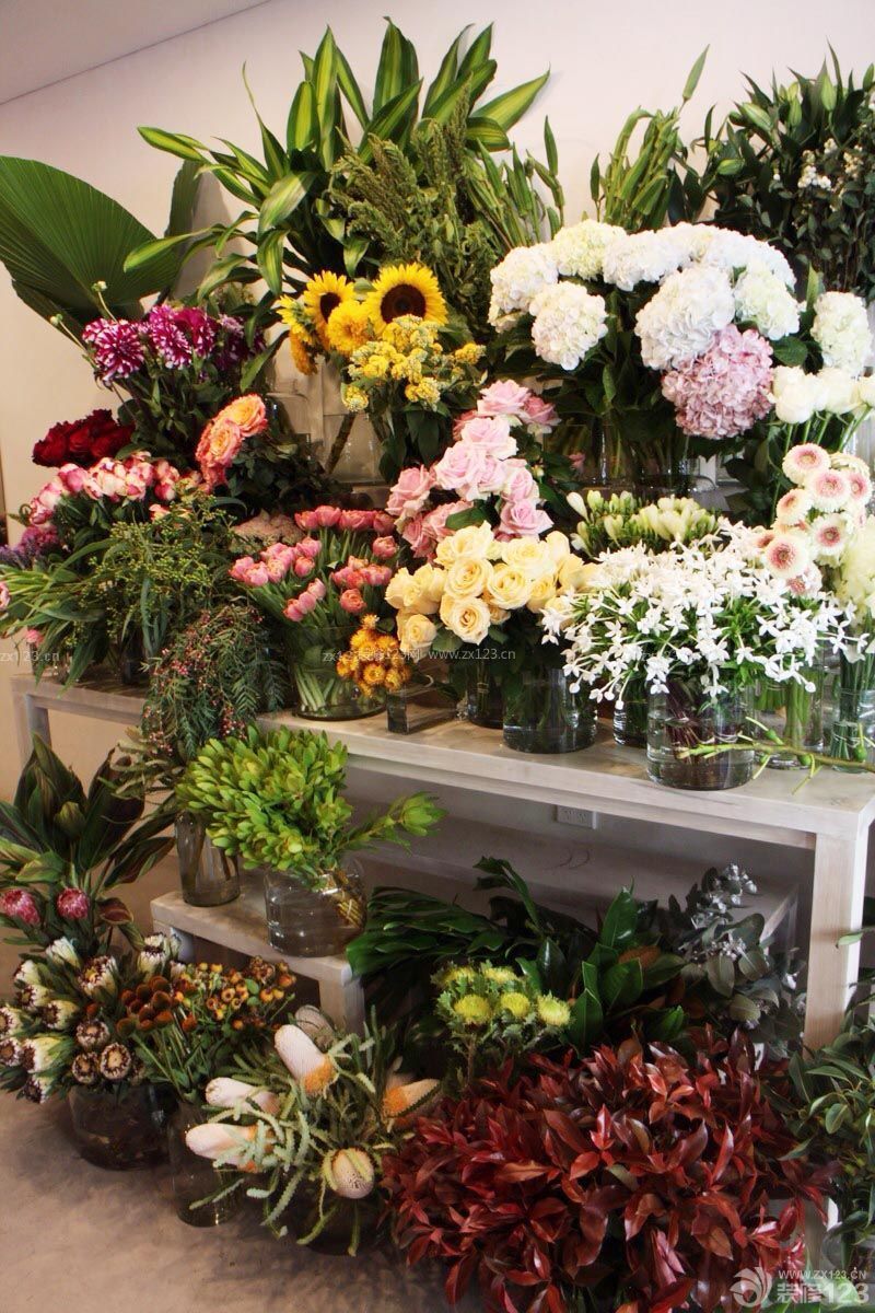 花店常用鲜花品种图片图片