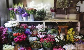 小花店装修效果图 花卉盆景图片
